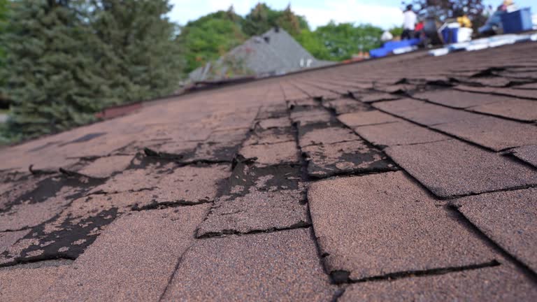 Best Cold Roofs  in Elgin, IL