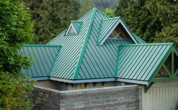 Best Roof Ventilation Installation  in Elgin, IL