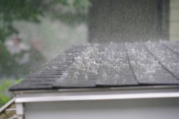 Best Green or Eco-Friendly Roofing Solutions  in Elgin, IL