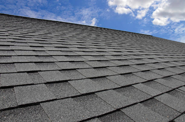 Best Solar Panel Roofing Installation  in Elgin, IL