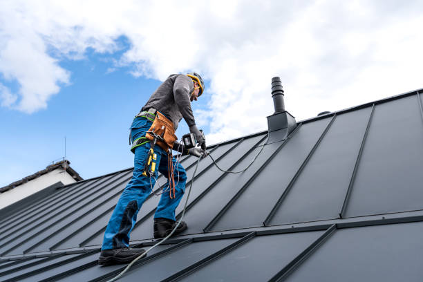 Best Commercial Roofing Services  in Elgin, IL